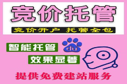 百度竞价排名实战：打造爆款关键词的案例